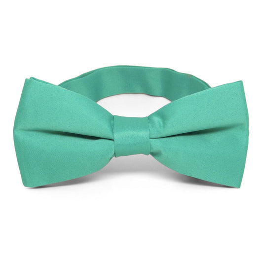 Aquamarine Band Collar Bow Tie